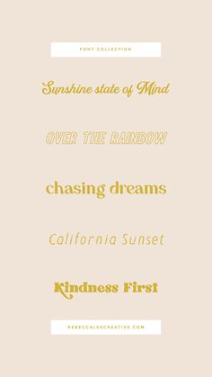 the sun shines on top of an orange and beige background with text that reads sunshine state