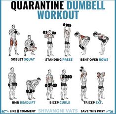 a poster showing how to do dumbbell workouts for the entire body and chest