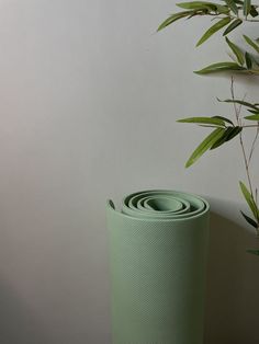 a roll of yoga mat sitting next to a plant