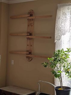 a potted plant sitting on top of a wooden shelf