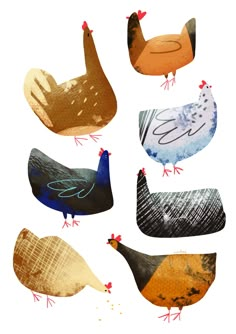 six different types of chickens are shown in this image with the words chicken written on them