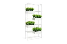 three white shelves with plants in them and one is filled with green grass on each shelf