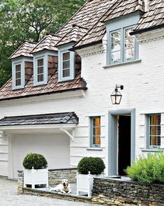 a white house with blue shutters and two dogs laying in the driveway next to it