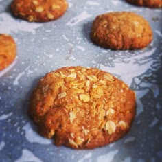 some cookies that are sitting on top of a pan with the words biscuit biscuit biscuit not a cookie