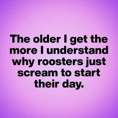 the older i get the more i understand why roosters just scream to start their day