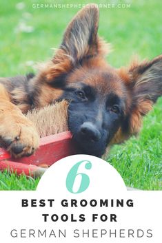 a german shepherd dog laying in the grass with his head on a red bowl that says 6 best grooming tools for german shepherds