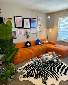 a living room with an orange couch and zebra print rug on the floor, surrounded by various framed pictures