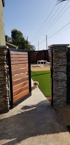 a dog is standing at the entrance to a house that has a gate and grass area