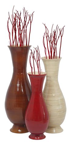 three vases with red stems in them on a white background