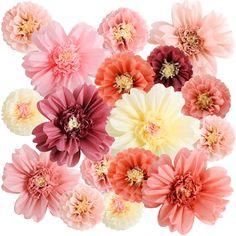 a bunch of pink and yellow flowers on a white background