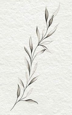 Olive Branch Tattoo, Around Arm Tattoo, Wrap Around Tattoo, Tato Minimal, Leaf Tattoo, Wrap Tattoo, Branch Tattoo, Vine Tattoos, Plant Tattoo