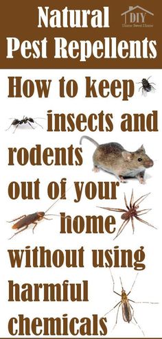 a sign that says, natural pest repellents how to keep insects and rodents out of your home without using chemicals