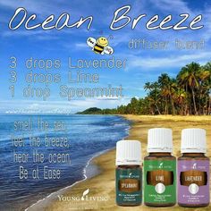 Ocean Breeze Diffuser Recipe Ocean Diffuser Blends, Beach Diffuser Blends, Blue Tansy Diffuser Blends, Ocean Breeze Essential Oil Blend, Blue Cypress Diffuser Blend, Young Living Essential Oils Recipes, Diffuser Recipes