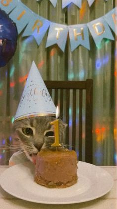 a cat wearing a birthday hat looking at a piece of cake on a plate with a candle in it