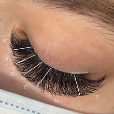 Lashes Volume Eyelash Extensions, Russian Lash Map, Short Lash Map, Hybrid Lash Mapping, Volume Lash Mapping