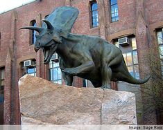 there is a statue of an animal on top of a rock in front of a building