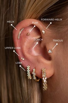 a woman's ear with different types of piercings and their corresponding parts labeled