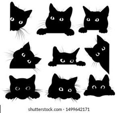 a set of nine black cats with different eyes