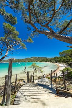 a wooden walkway leading to the beach with clear blue water