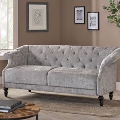 a living room scene with focus on the couch