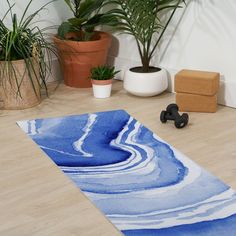 a blue and white area rug on the floor next to potted plants in a room