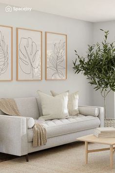 a living room with three paintings on the wall and a coffee table in front of it