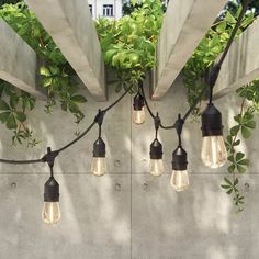 some lights are hanging from a concrete wall with green plants growing on the sides and around them