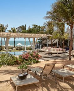 an outdoor seating area with chairs and umbrellas near the water, surrounded by palm trees