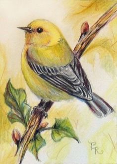 a drawing of a yellow bird sitting on a branch