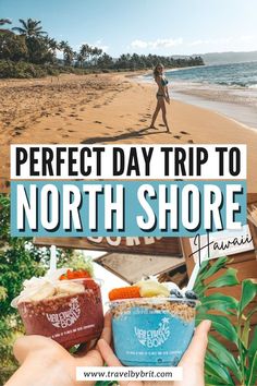 the perfect day trip to north shore