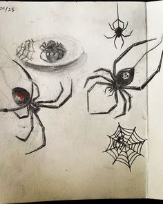 a drawing of two spider webs on a piece of paper with another spider in the background