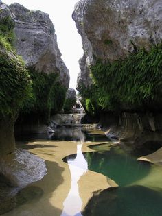 a river running between two large rocks in the middle of a forest filled with trees