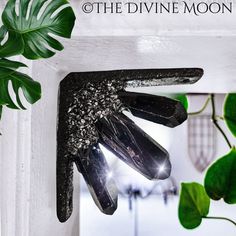 a pair of black gloves sitting on top of a window sill next to a green plant