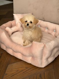 a small dog is sitting in a pink bed