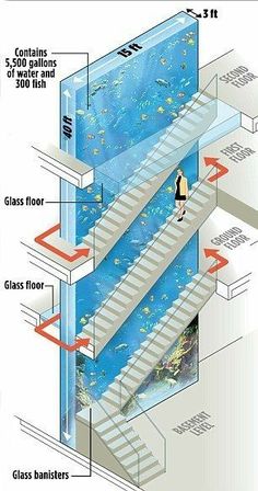 an aquarium with stairs leading up to the bottom and fish swimming in the water below