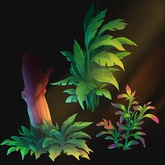 three different types of plants on a black background