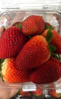 a plastic container filled with lots of ripe strawberries