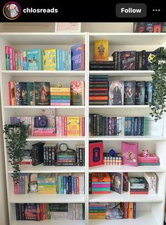 a white bookcase filled with lots of books next to a potted green plant