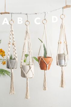 macrame plant hangers with plants in them