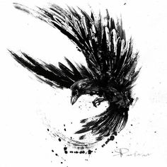 a black and white drawing of a bird