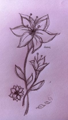 a drawing of a flower on paper with the word'dama'written in cursive writing