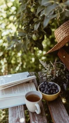 an open book and cup of coffee on a wooden bench