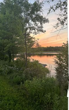 the sun is setting over a body of water with trees in the foreground and grass around it