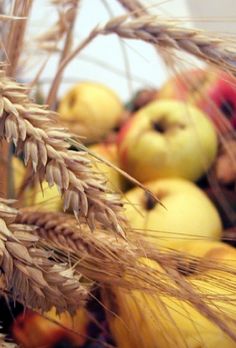 an arrangement of apples and wheat in a basket