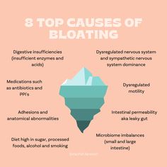 On Wednesday 16th August at 7:00pm (AEST) I am hosting a FREE LIVE masterclass ‘How To Reduce Your Bloat In Just 14 Days’ This masterclass is for your if you answer YES to any of the following: 🎈 You feel bloated, in pain or uncomfortable 🥑 You feel anxious, embarrassed and self-conscious every time you eat 🤯 You feel like your body has been hijacked 🧐 You are frustrated and desperate for answers ❌ All your tests come back normal Health Infographic, Gut Microbiome, Self Conscious, Nervous System, Gut Health, Master Class, Come Back, How Are You Feeling