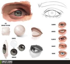 an image of different types of eyes and how to draw them in photoshopped