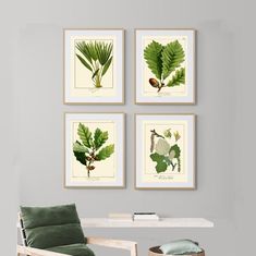 three framed botanical prints hang on the wall above a white table with a green chair