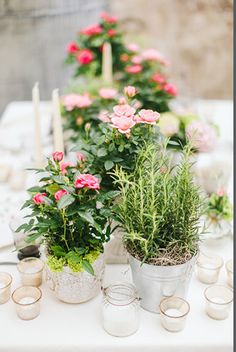 several potted plants on a table with candles and flowers in the centerpieces