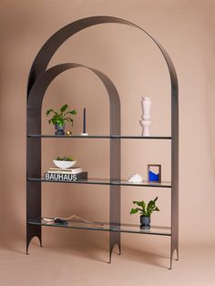 an arch shaped shelf with plants and books on it in front of a pink wall