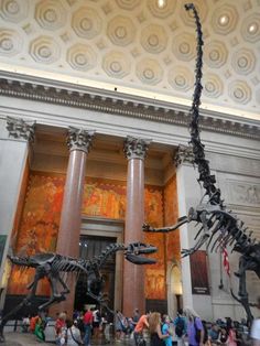 a large dinosaur skeleton is in the middle of a museum with people walking around it